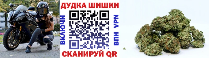 Продажа наркотиков Курлово Бошки Шишки  Меф мяу мяу  Альфа ПВП  блэк спрут tor  ГАШ 