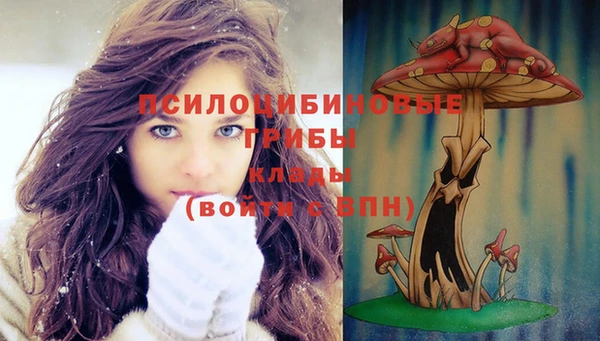 гидропоника Балахна