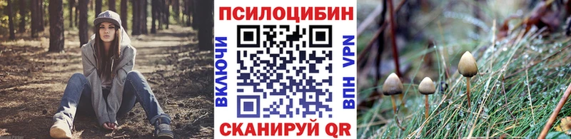 площадка какой сайт Курлово Псилоцибиновые грибы ЛСД